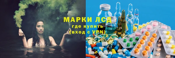 стафф Алексин
