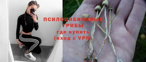 ALPHA-PVP Алексеевка
