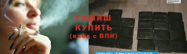 стафф Алексин