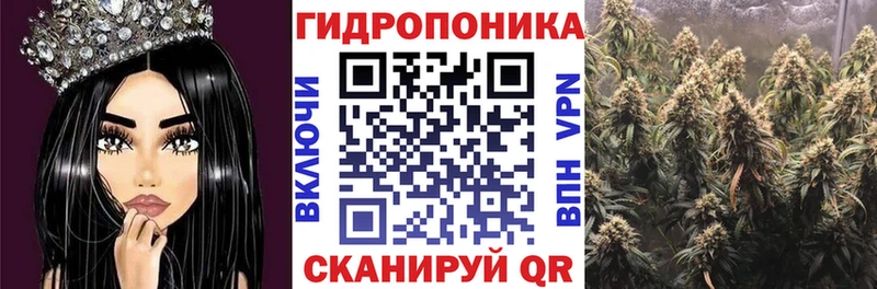 Шишки марихуана Amnesia  где найти наркотики  Покров 